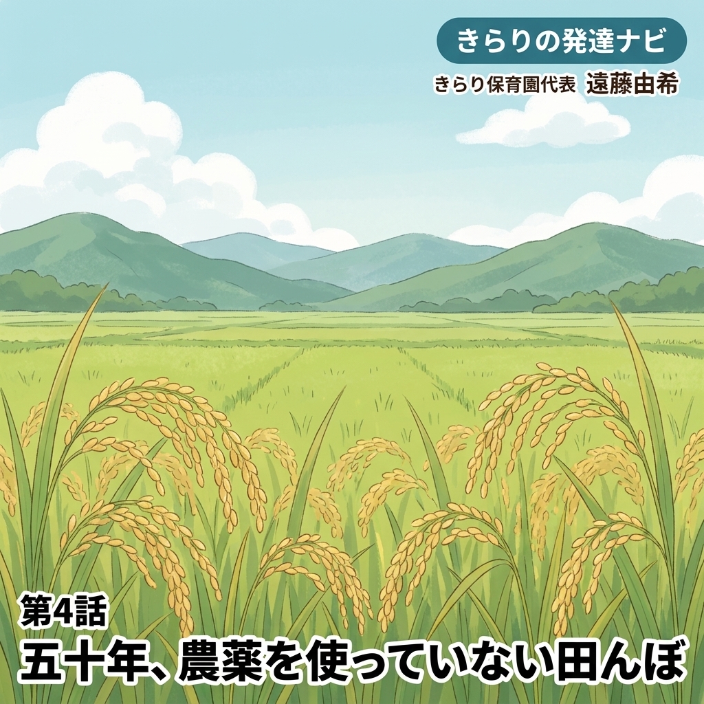 50年、農薬を使っていない田んぼ 紙芝居 2